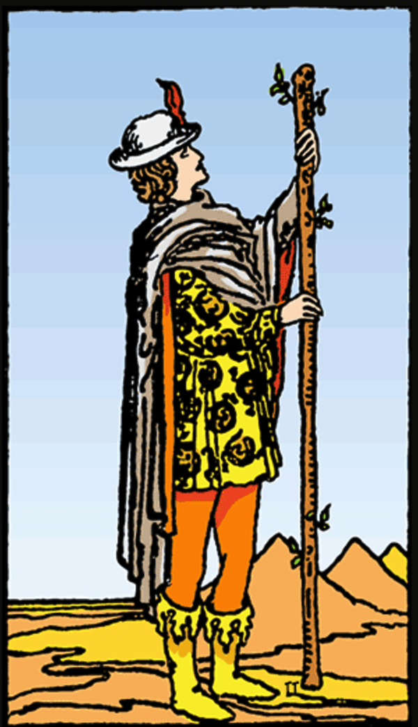 Page of Wands: Symbolism & Imagery